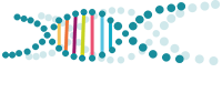 dnk logo 2